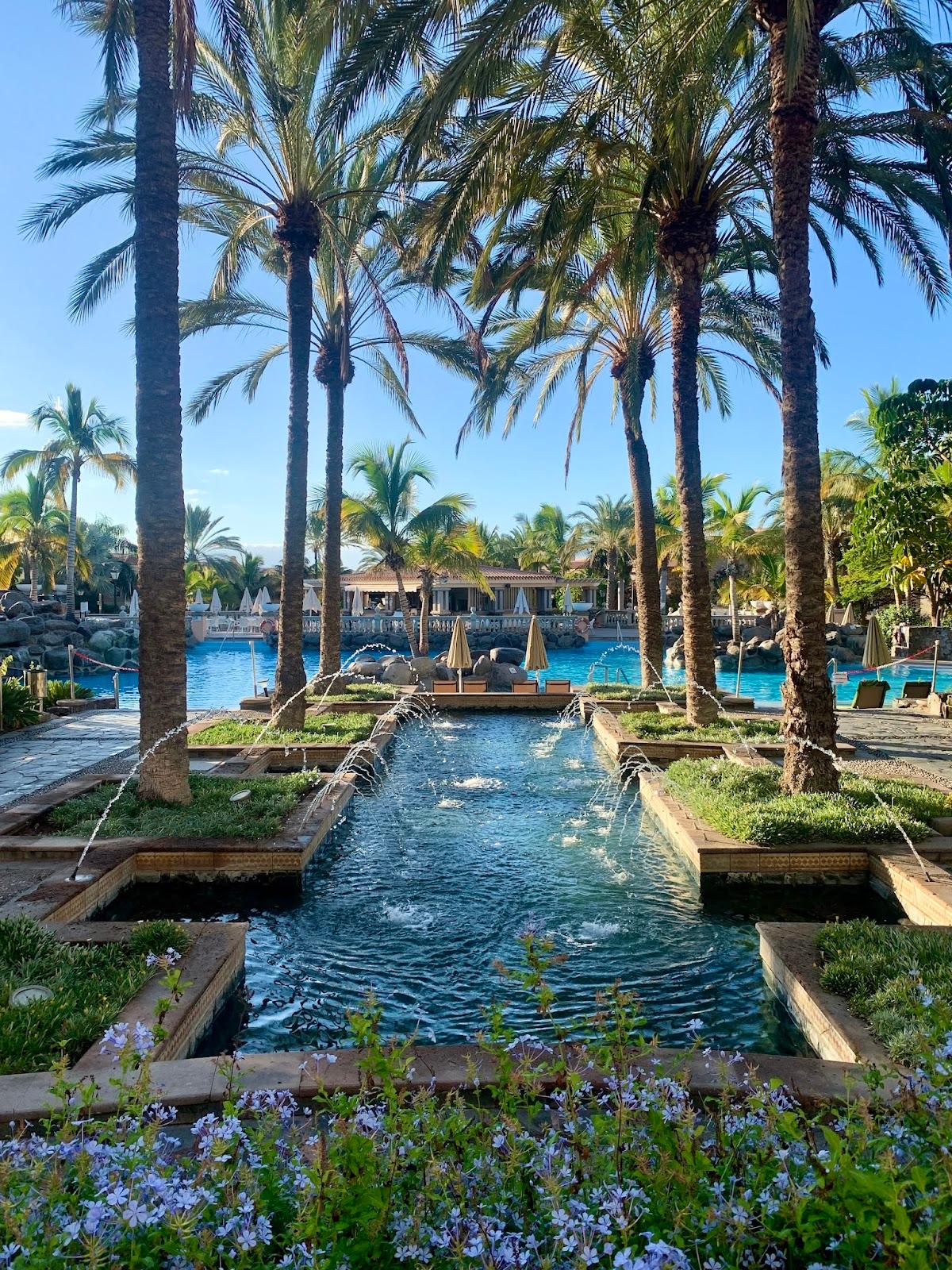 Palm Oasis Maspalomas, Gran Canaria – Studio Week 9
