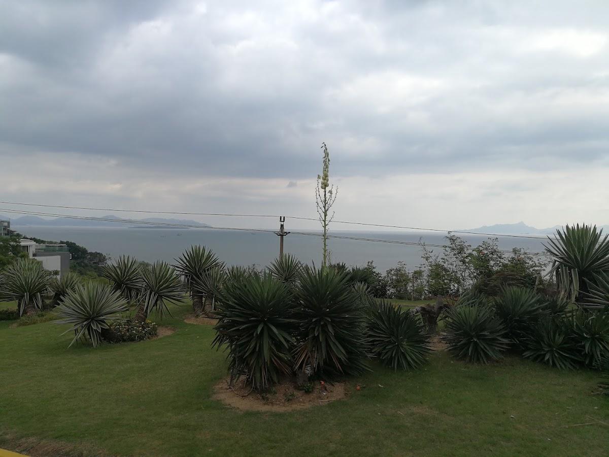 The Fountain Resort