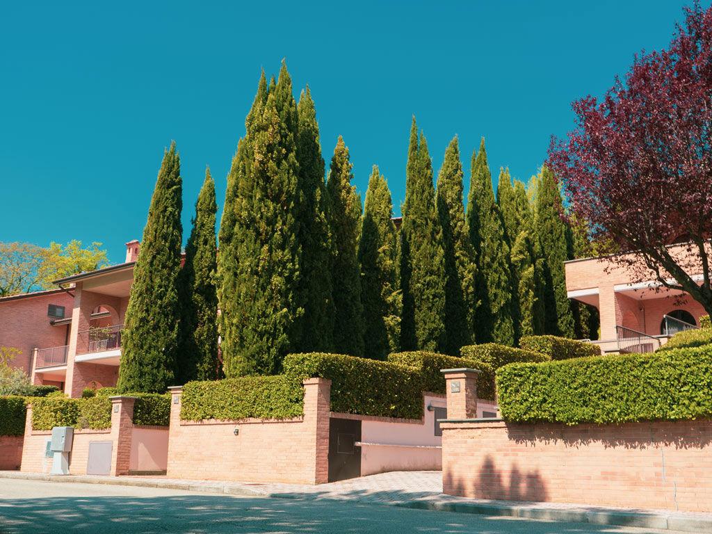 Carpediem Assisi Living Club