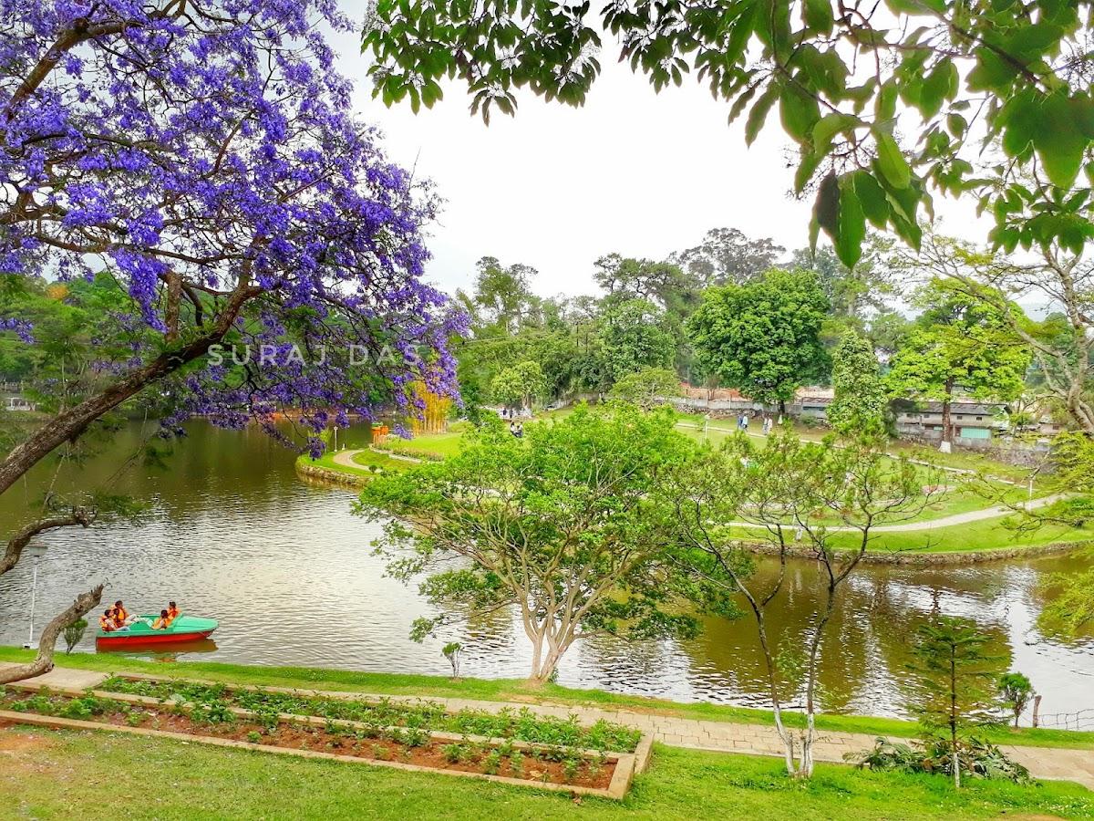 Club Mahindra Shillong