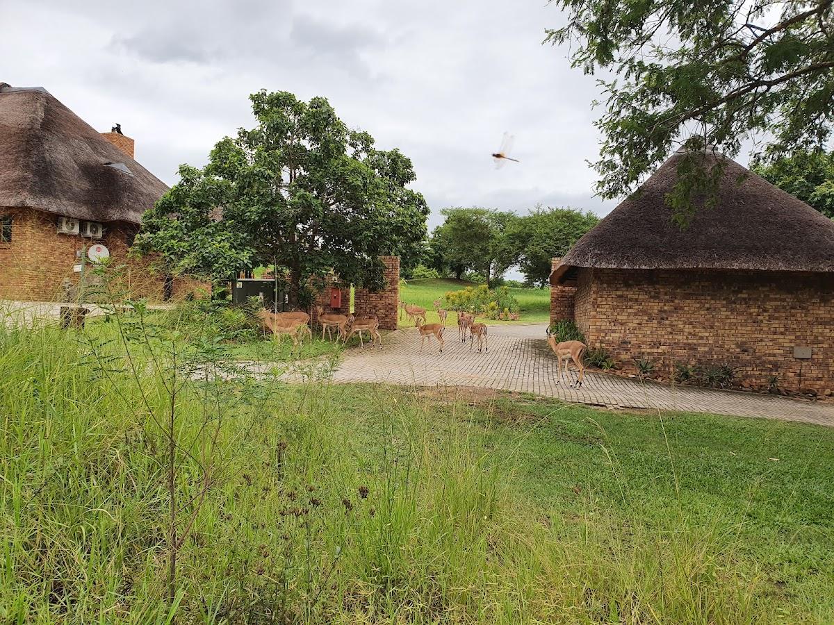 Kruger Park Lodge