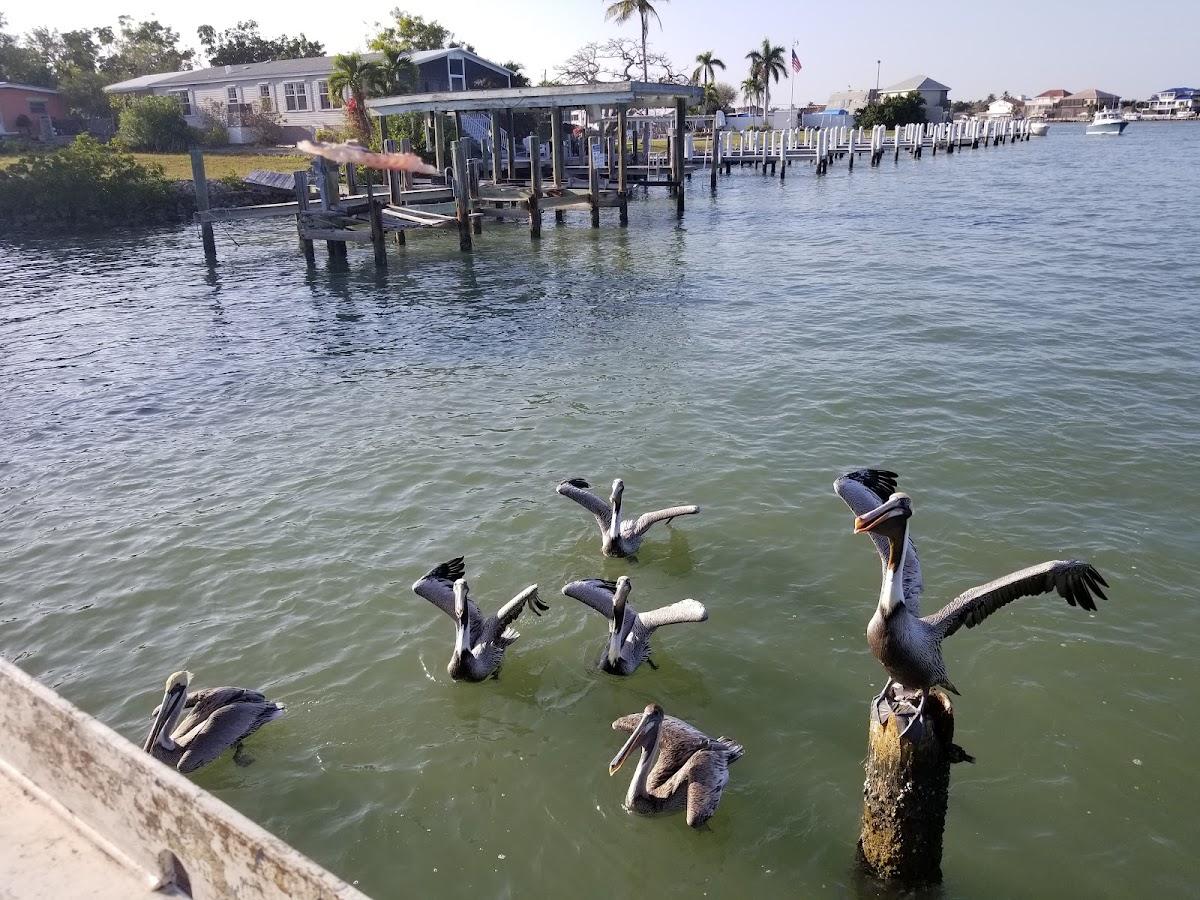 Westside Bay Resort