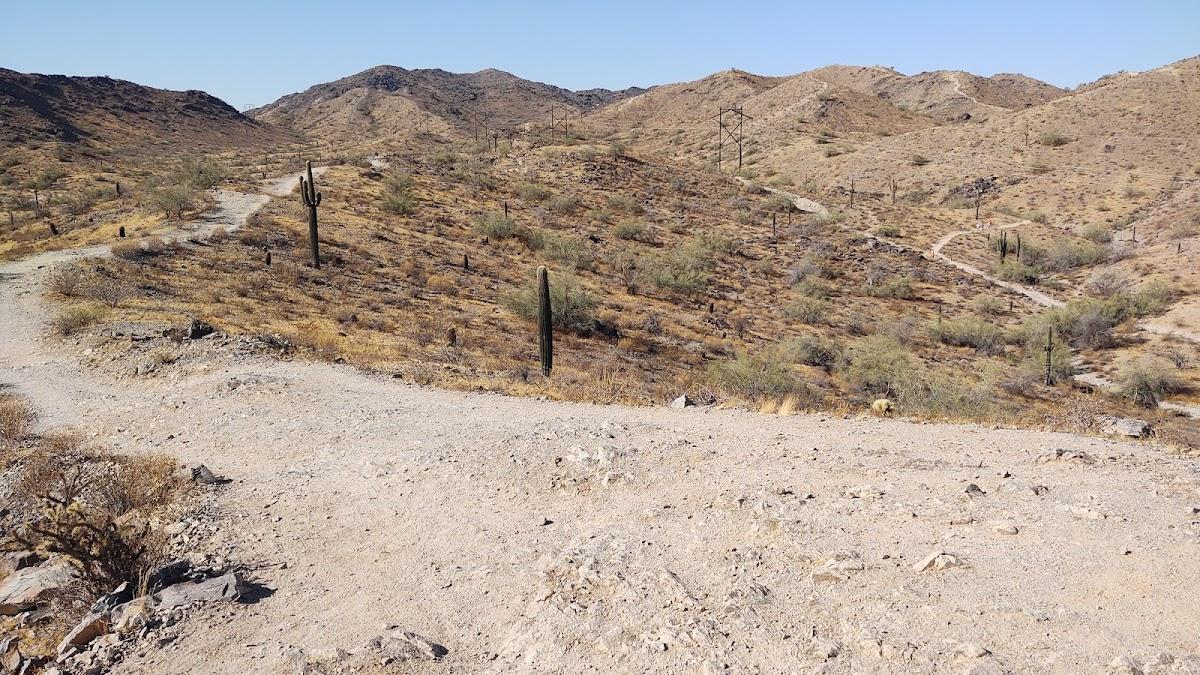 Desert Arroyo Phoenix