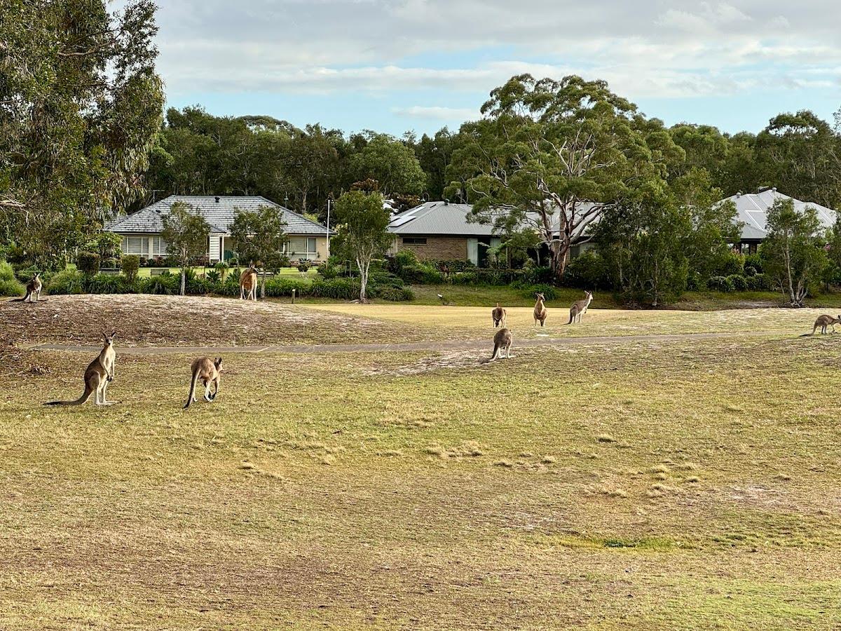 Club Wyndham Port Stephens