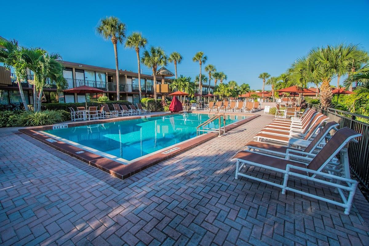 Magic Tree Resort