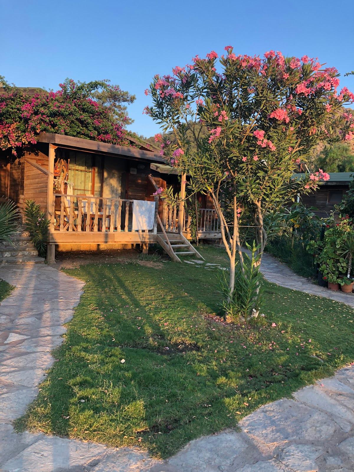 Tatil Borsasi Yat Club