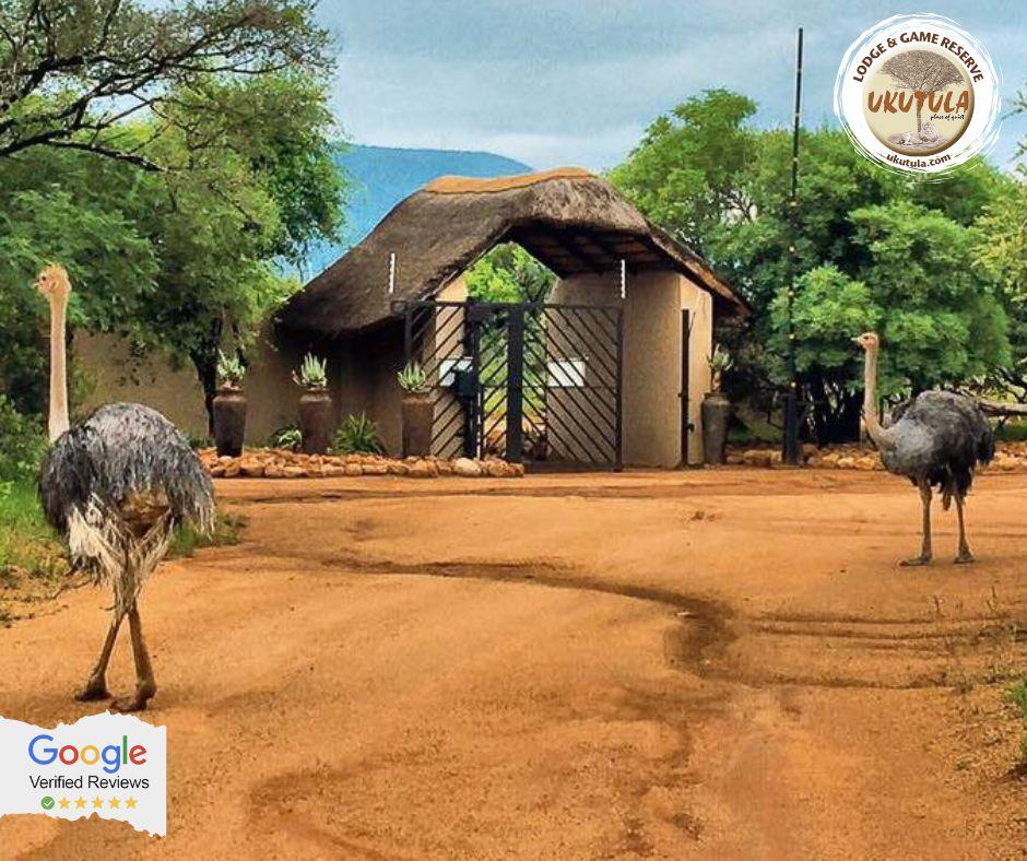 Ukuthula Lodge