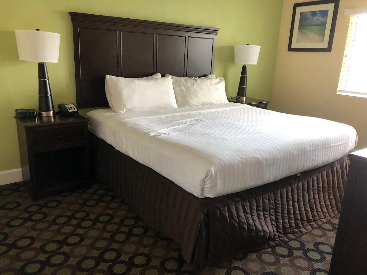 New Hotel Collection Harbourside Resort