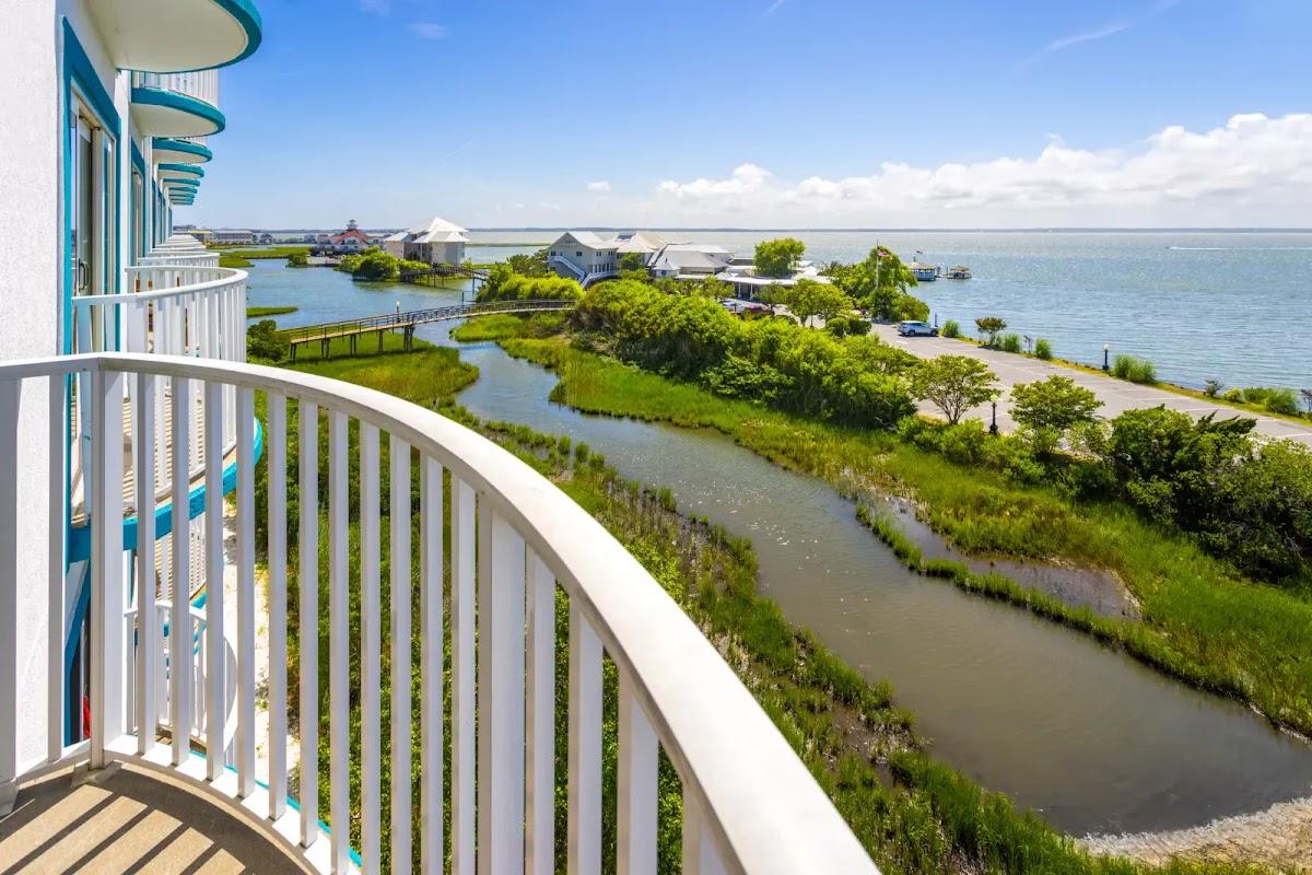 Ocean City Coconut Malorie