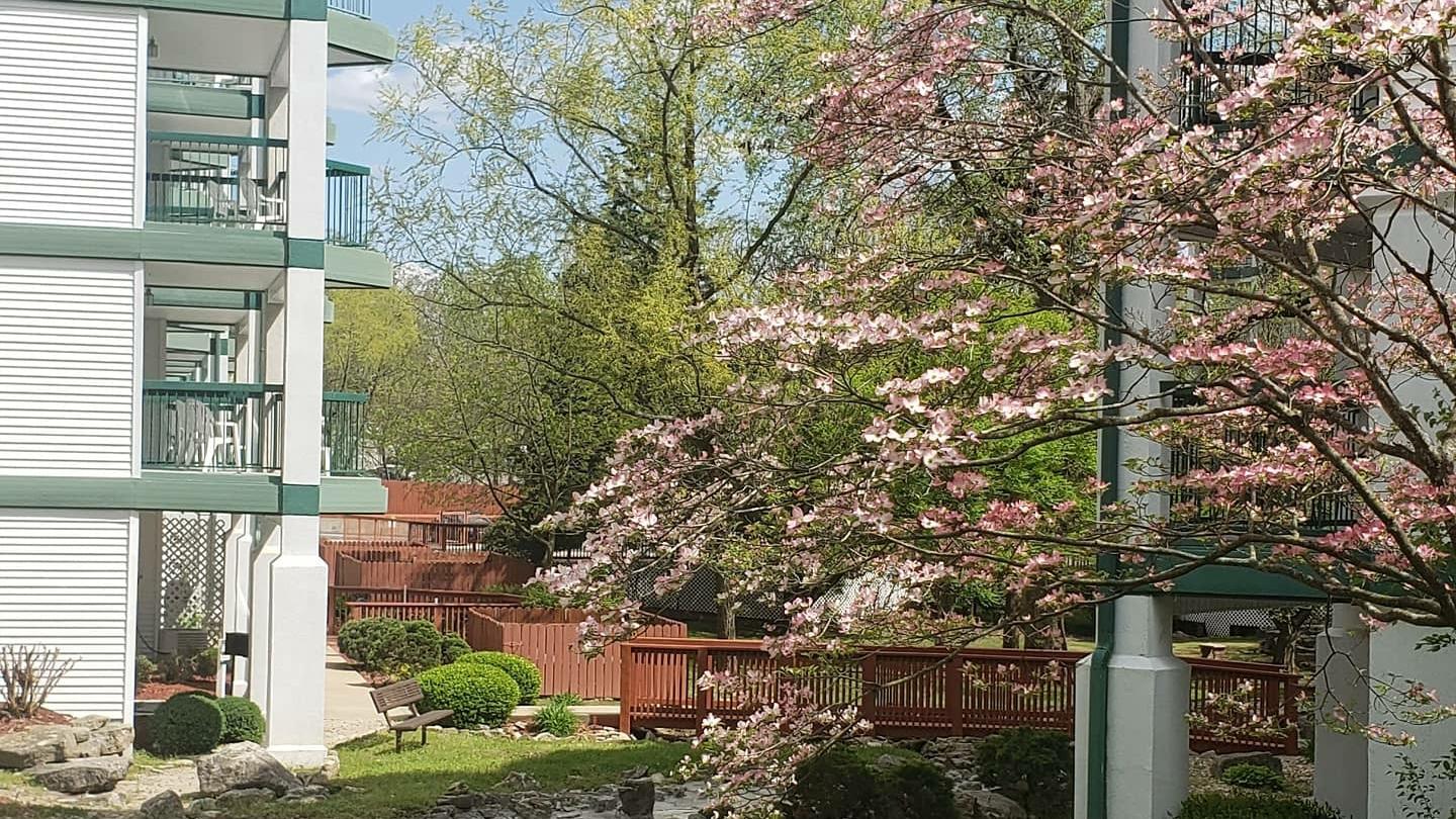 Surrey Vacation Resort - Carriage Place