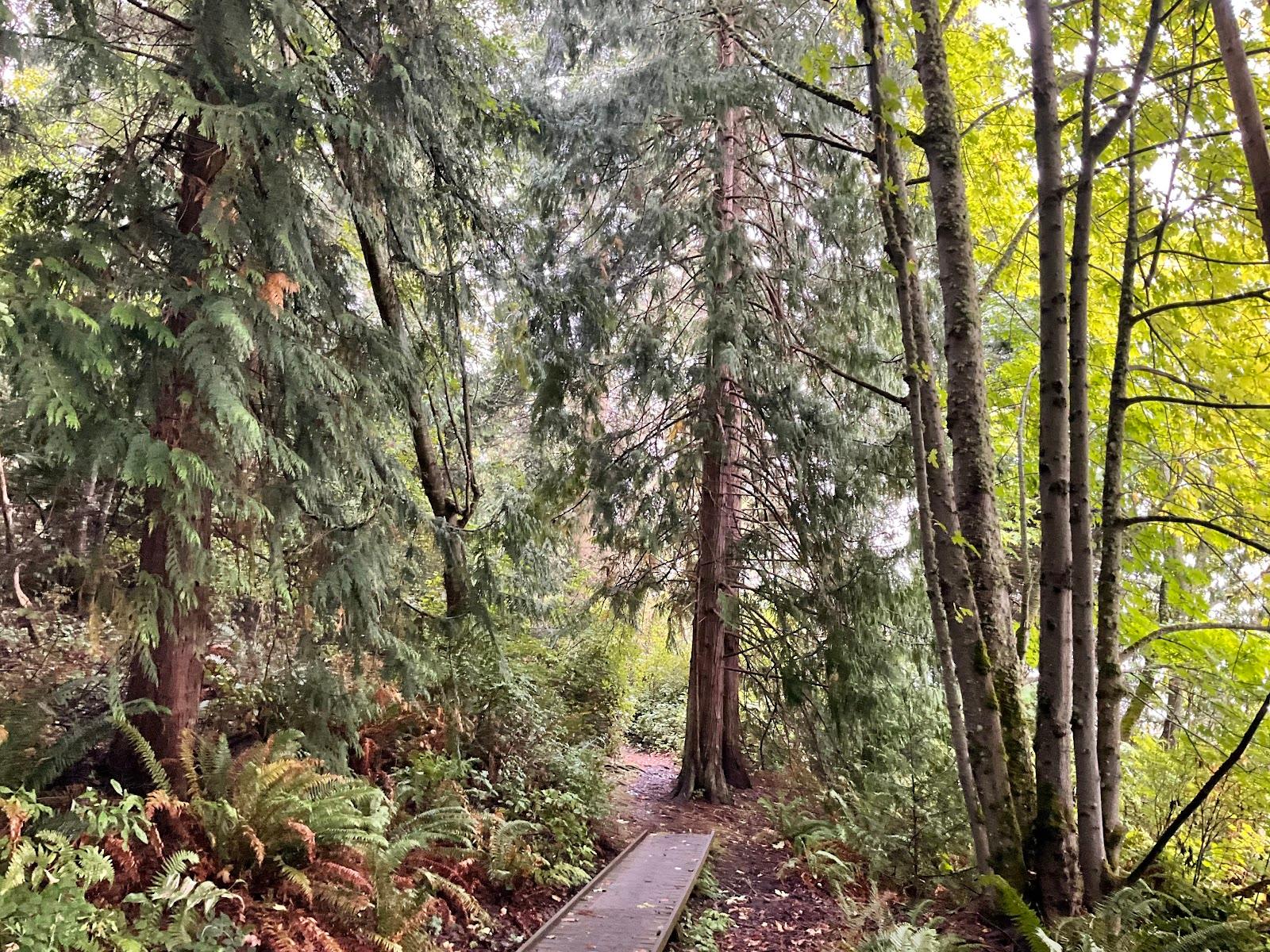 Kala Point Village - United States