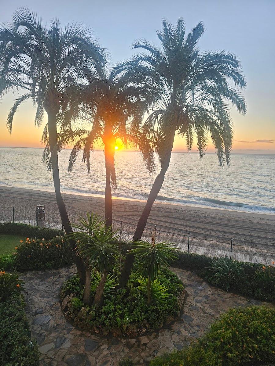 Las Mimosas Beach Club - Spain