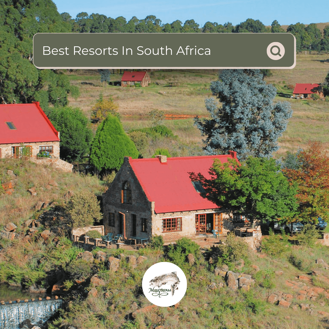 Millstream Belfast Rd. To Dullstroom Dullstroom