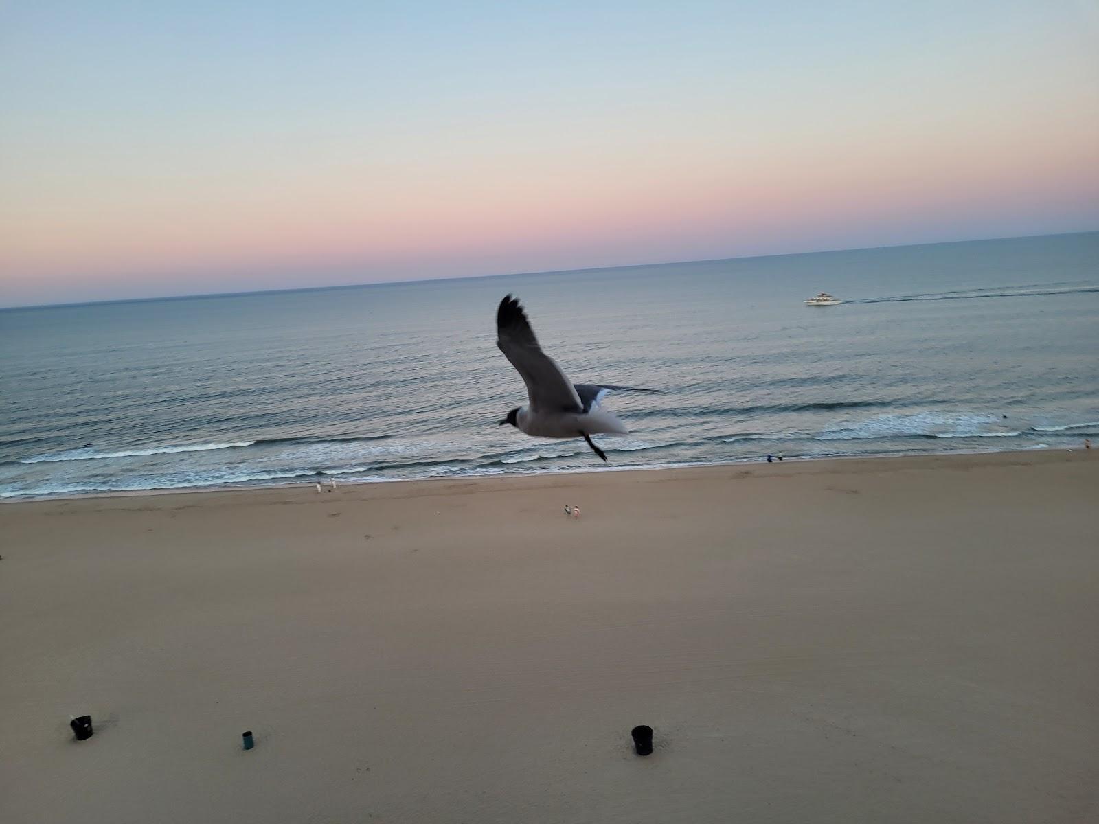 Ocean Time - United States