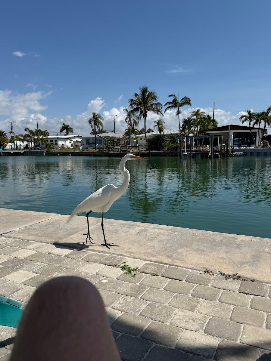 Sea Side Beach Club - United States