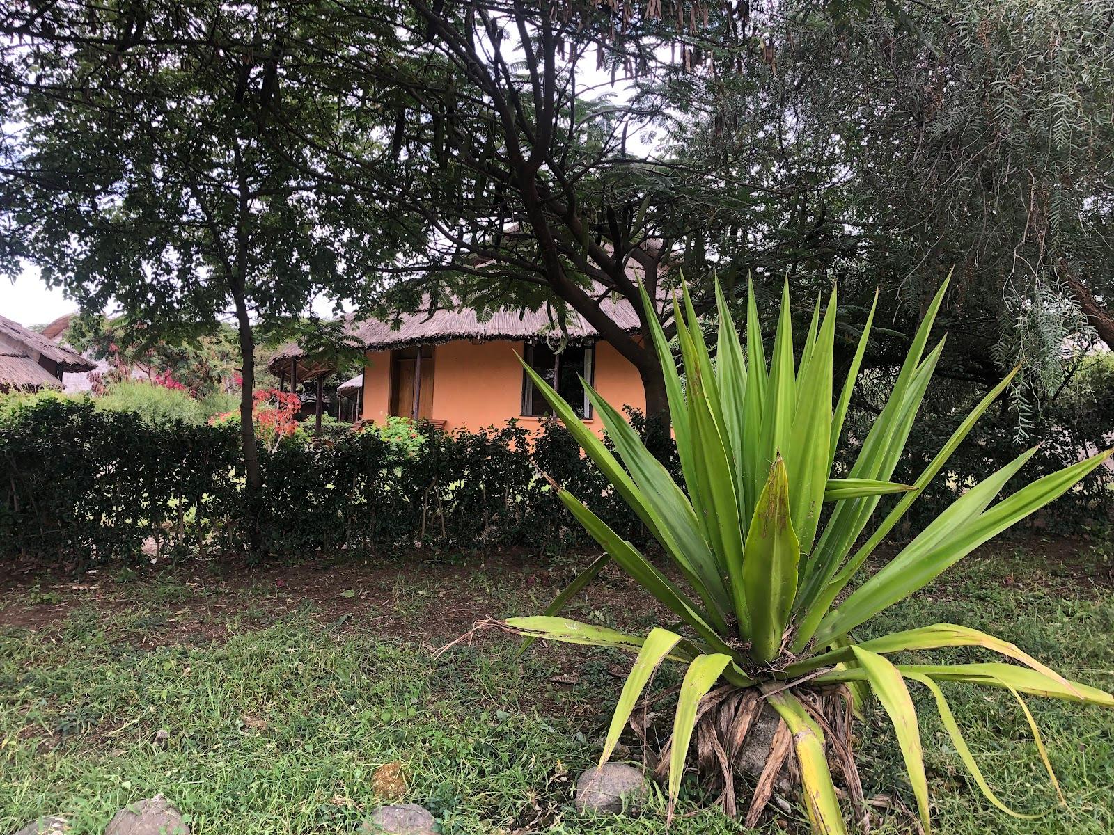 Langano Vacation Club Lake Langano