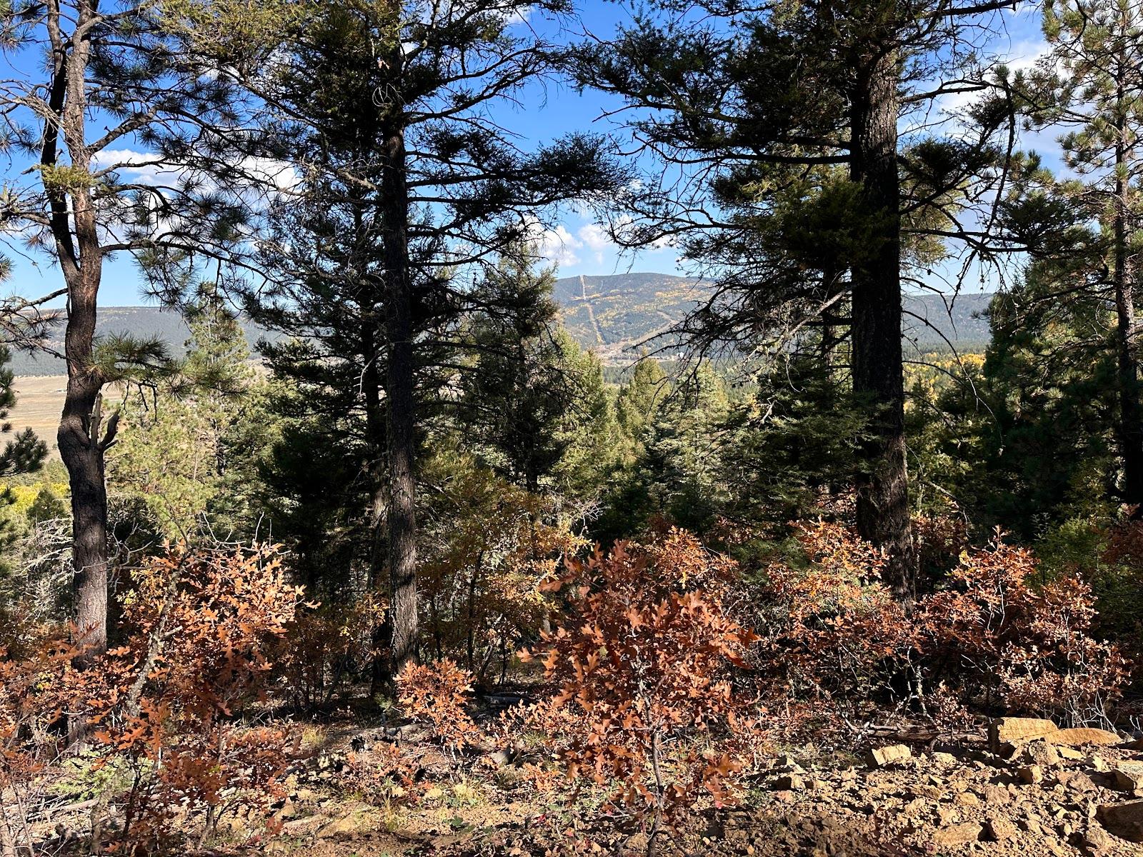 Sun Lodge of Angel Fire - United States