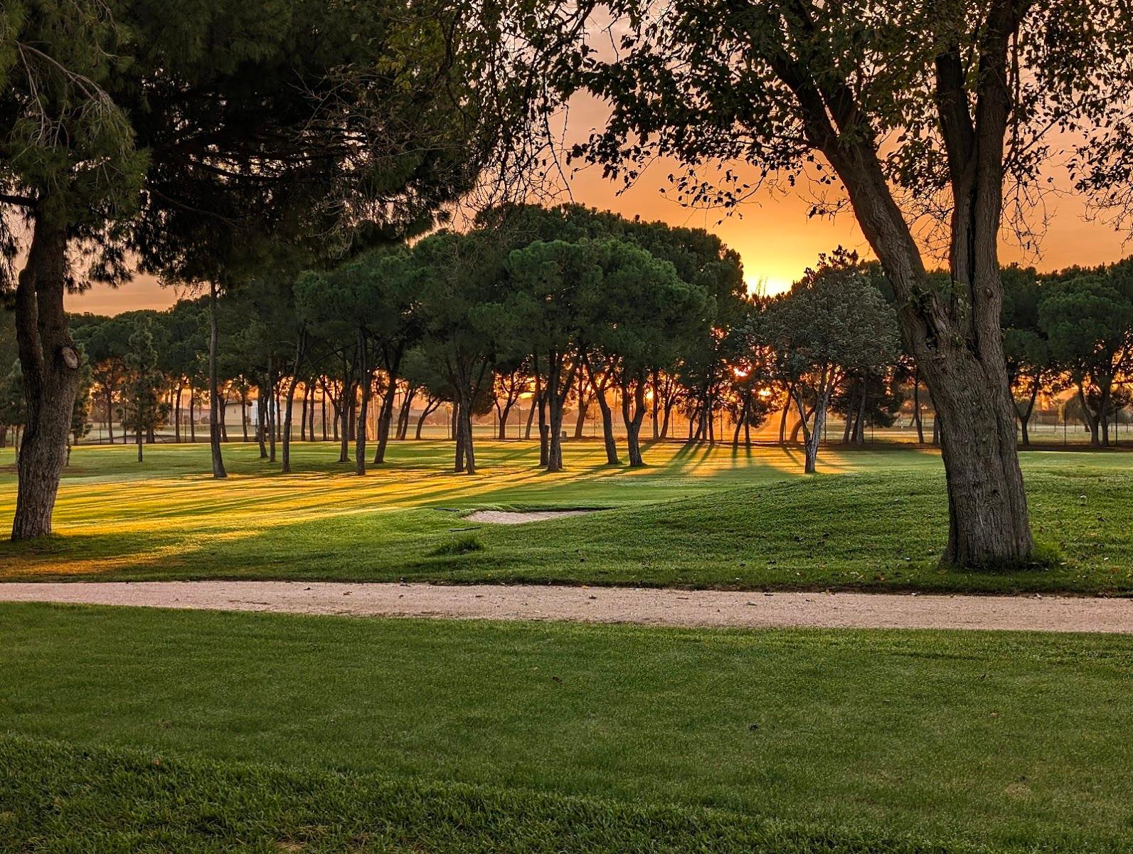 Royal Pineda Club, Costa Blanca – Studio Week 40