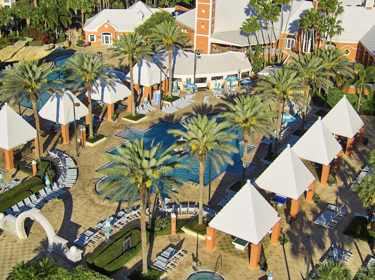 Hilton Grand Vacations Club SeaWorld Orlando