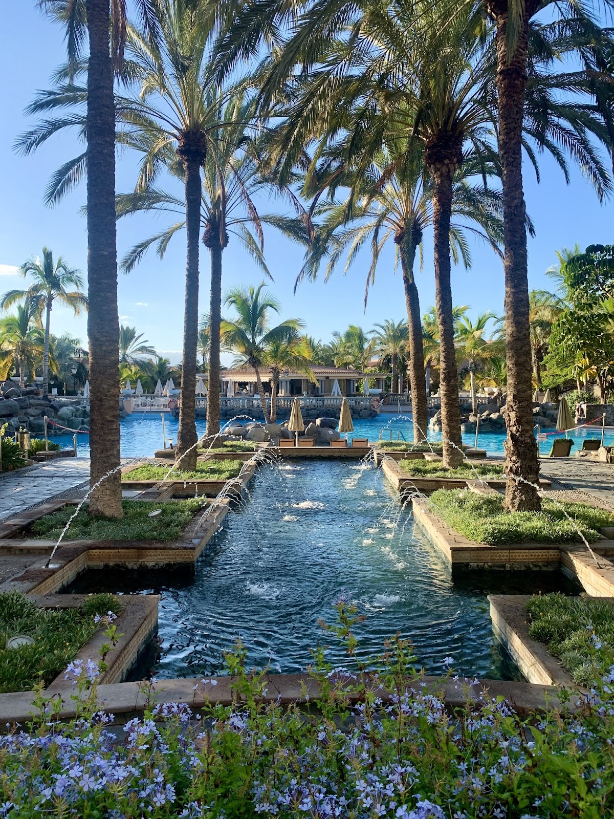 Palm Oasis Maspalomas