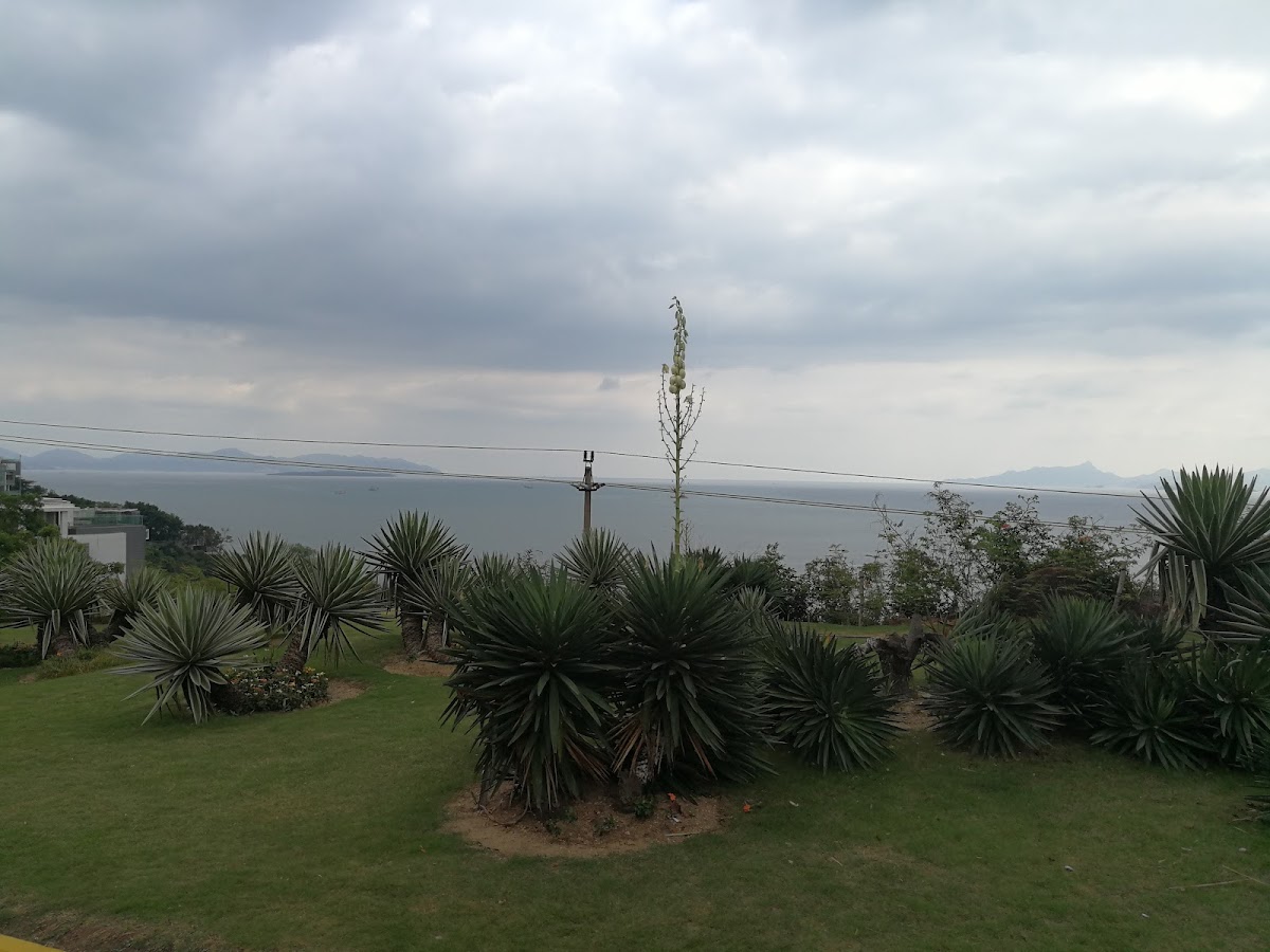 The Fountain Resort