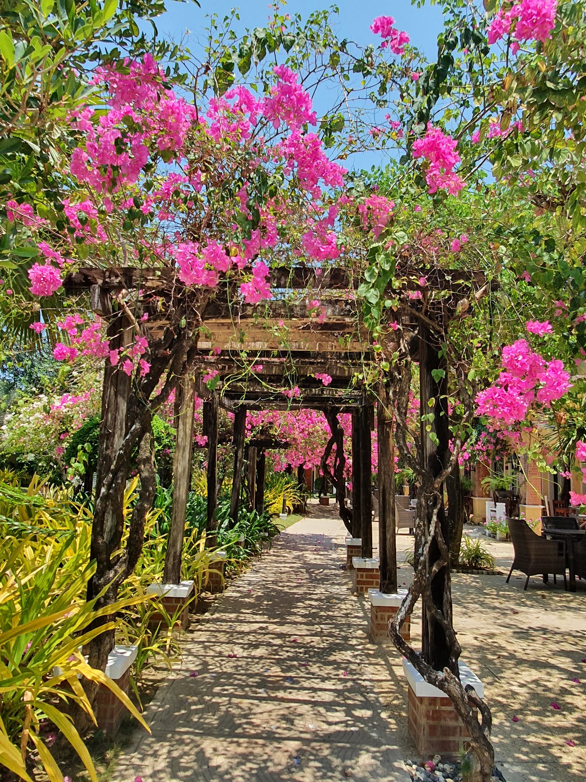 Puerto Del Sol Beach Resort and Hotel