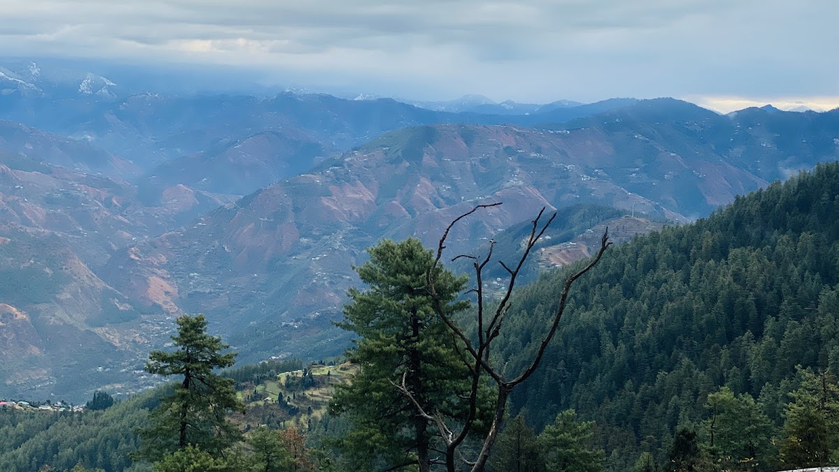 Club Mahindra Shimla