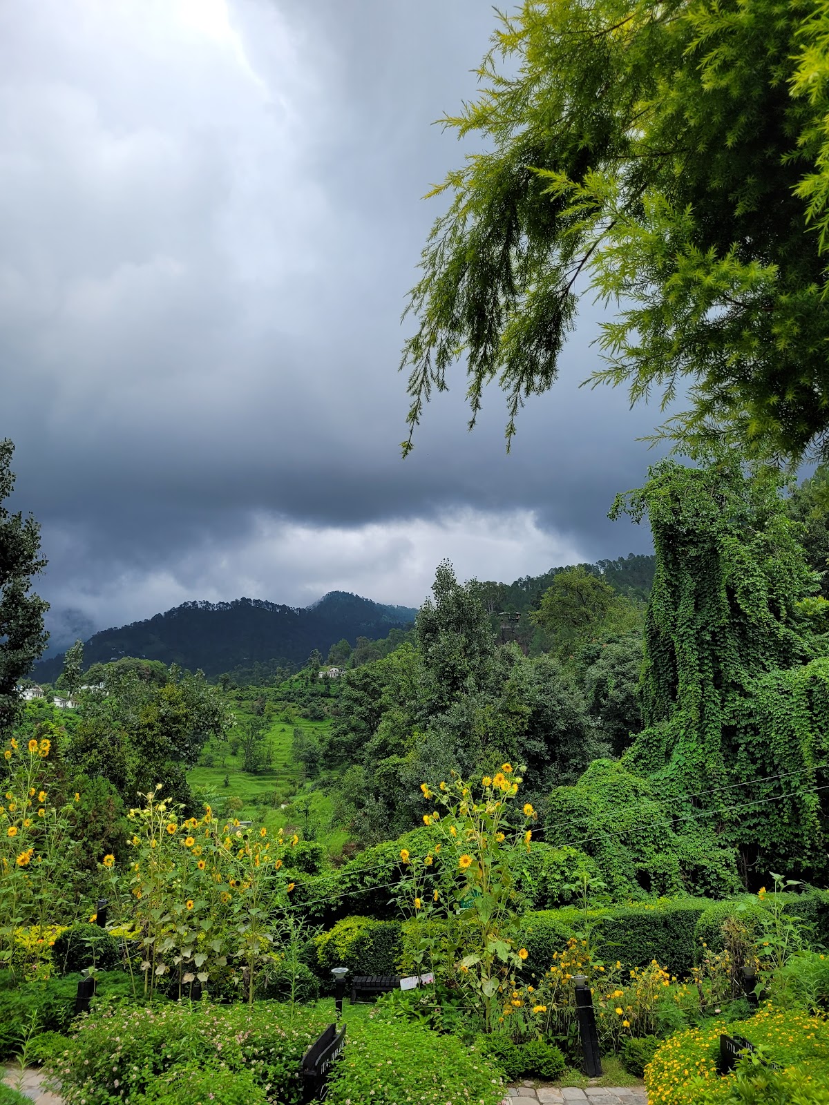 Club Mahindra Binsar Villa Almora