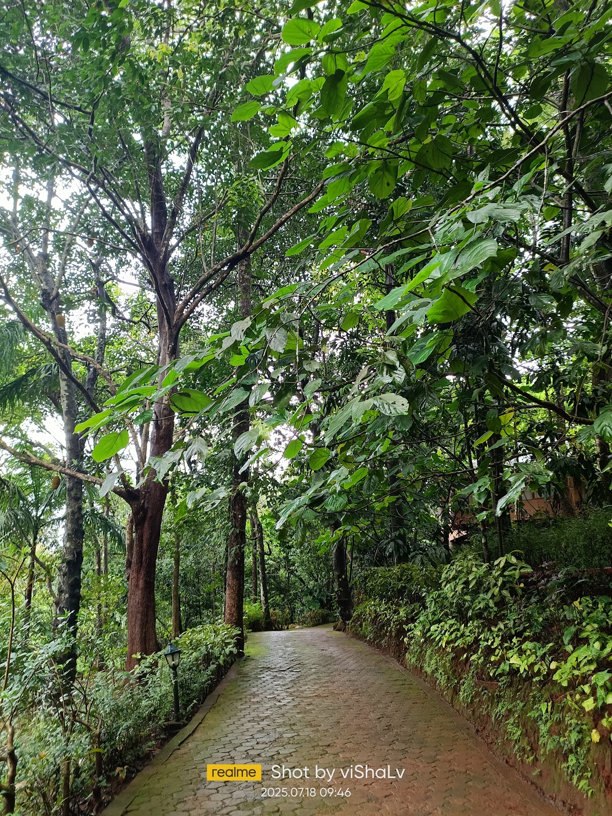 Club Mahindra Wayanad