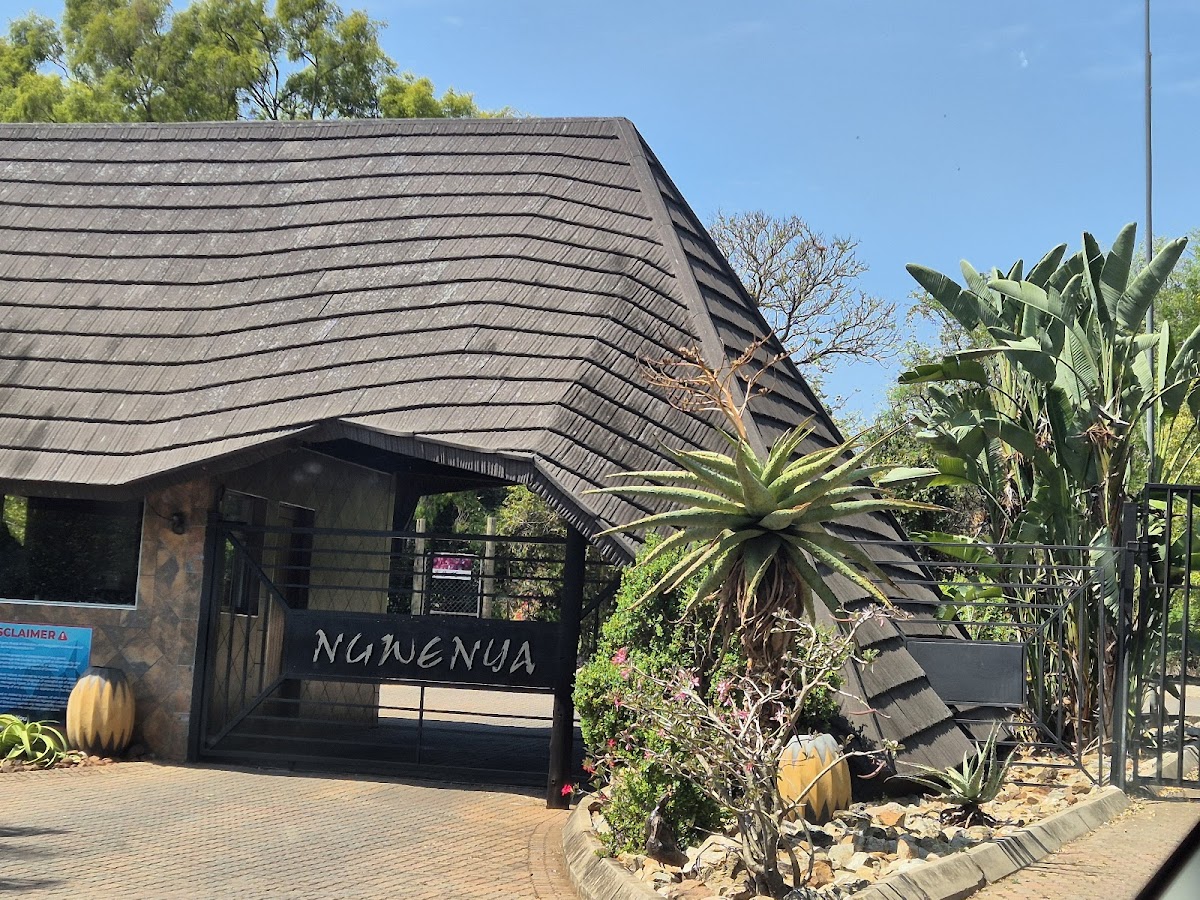 Ngwenya Lodge