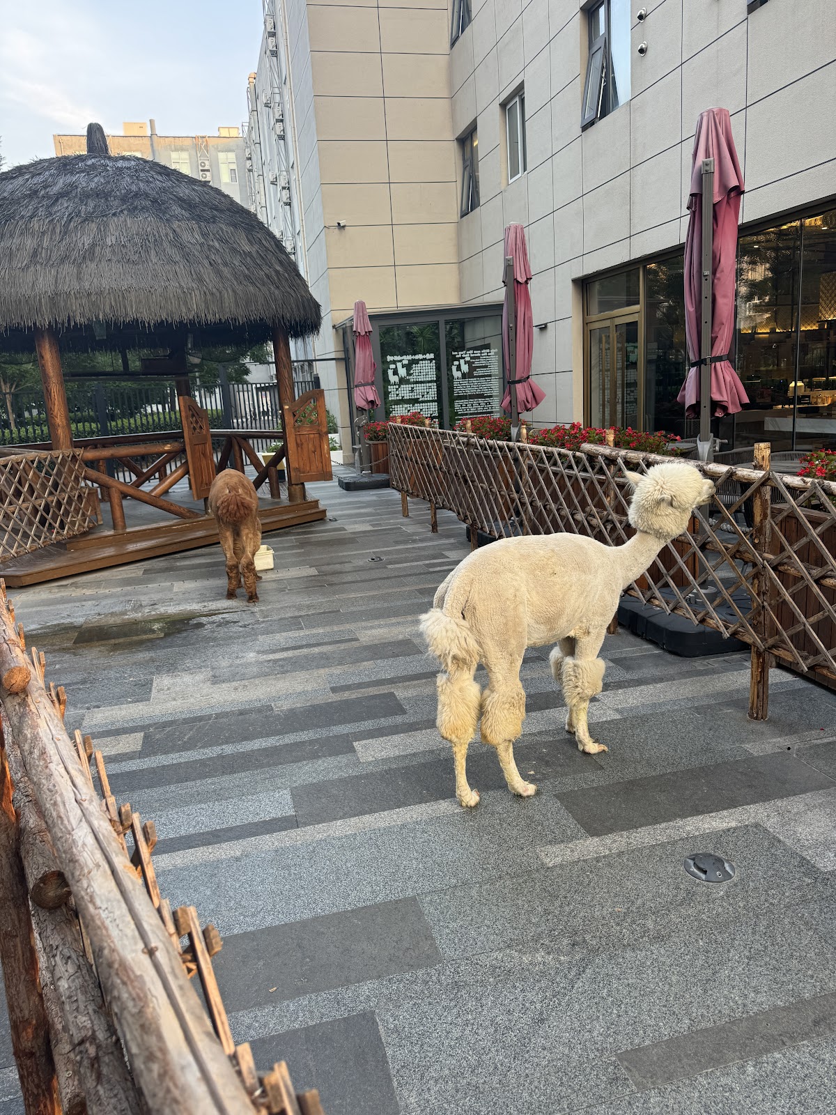 Beijing Shihao International Hotel