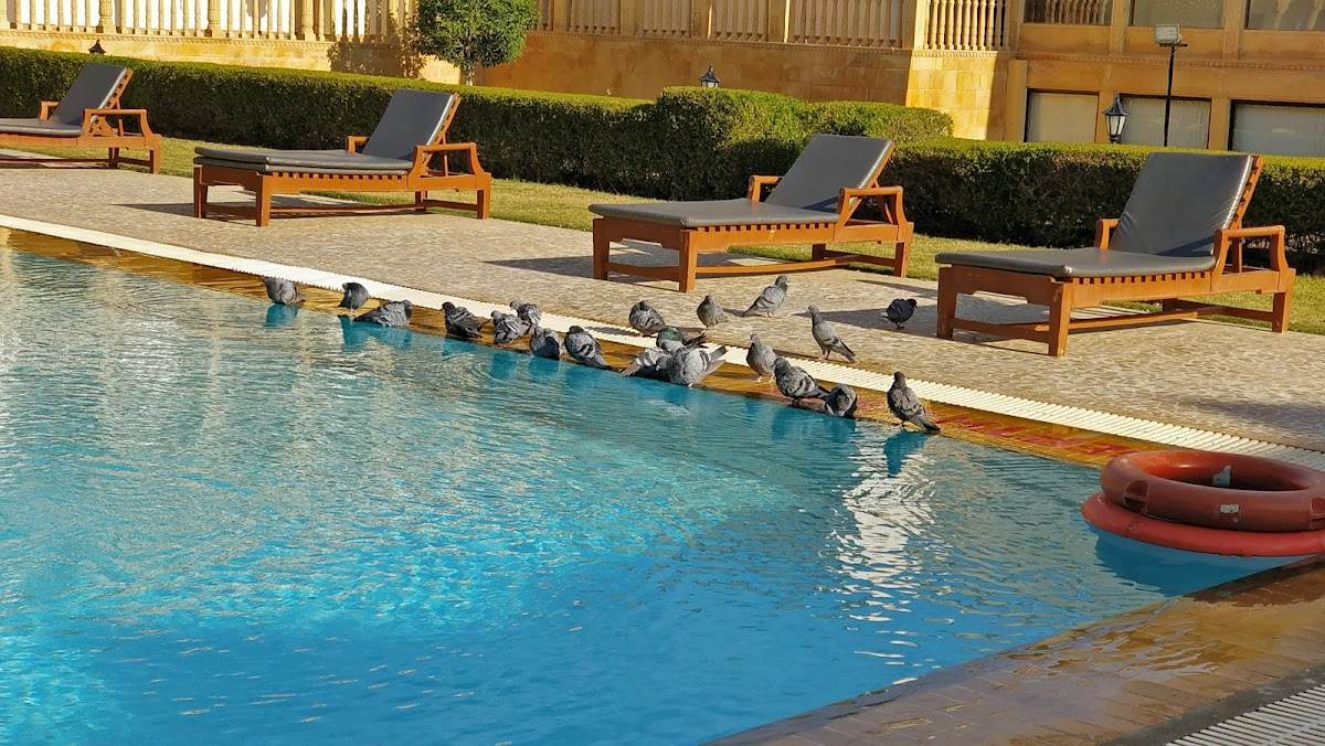Club Mahindra Dooars