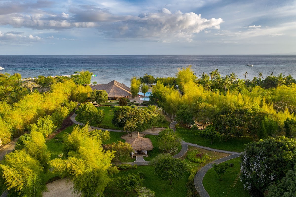 Bluewater Panglao Beach Resort