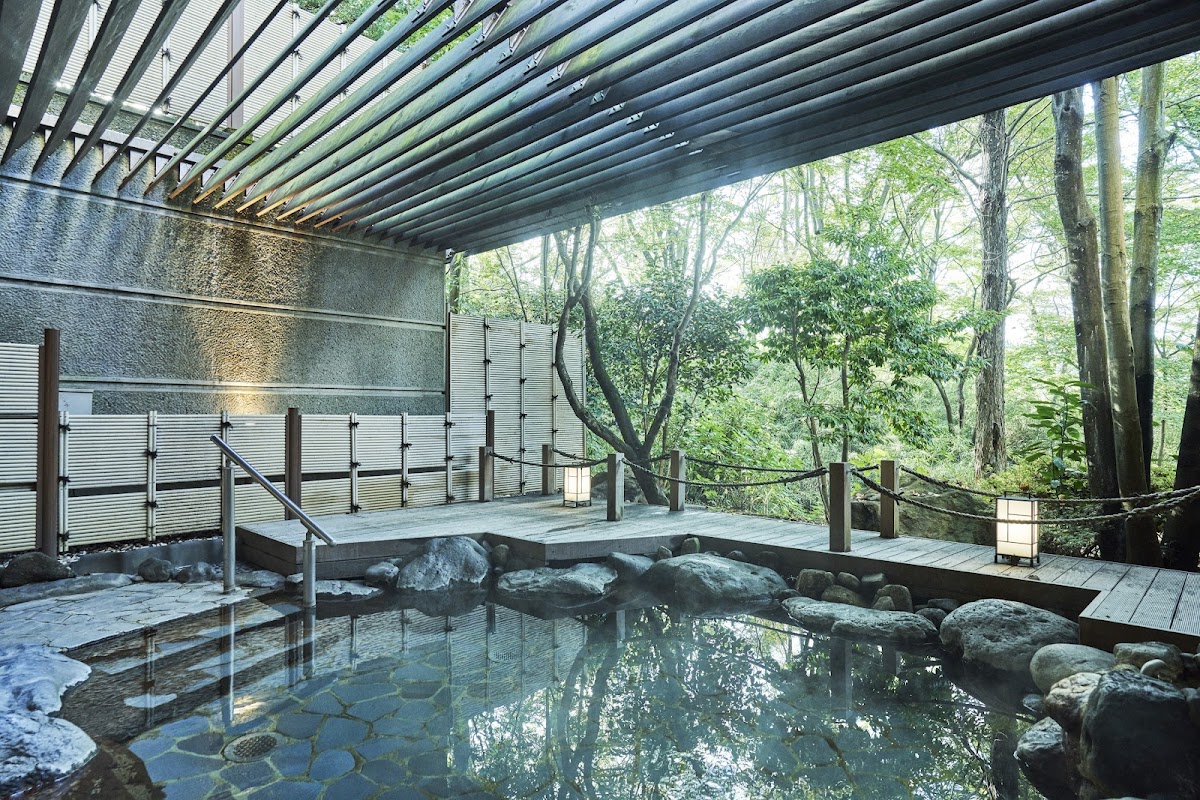 Tokyu Vacations Hakone-Gora