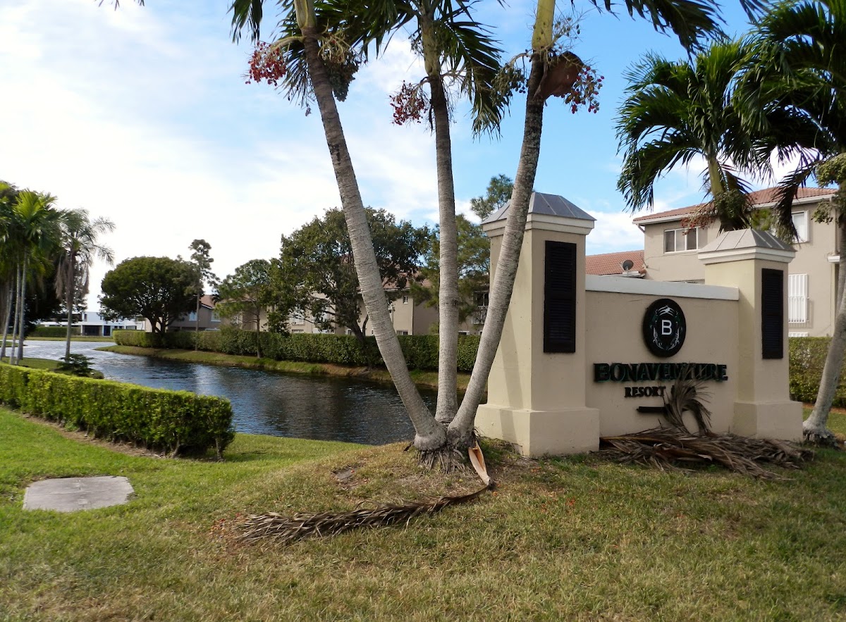 Vacation Village at Bonaventure
