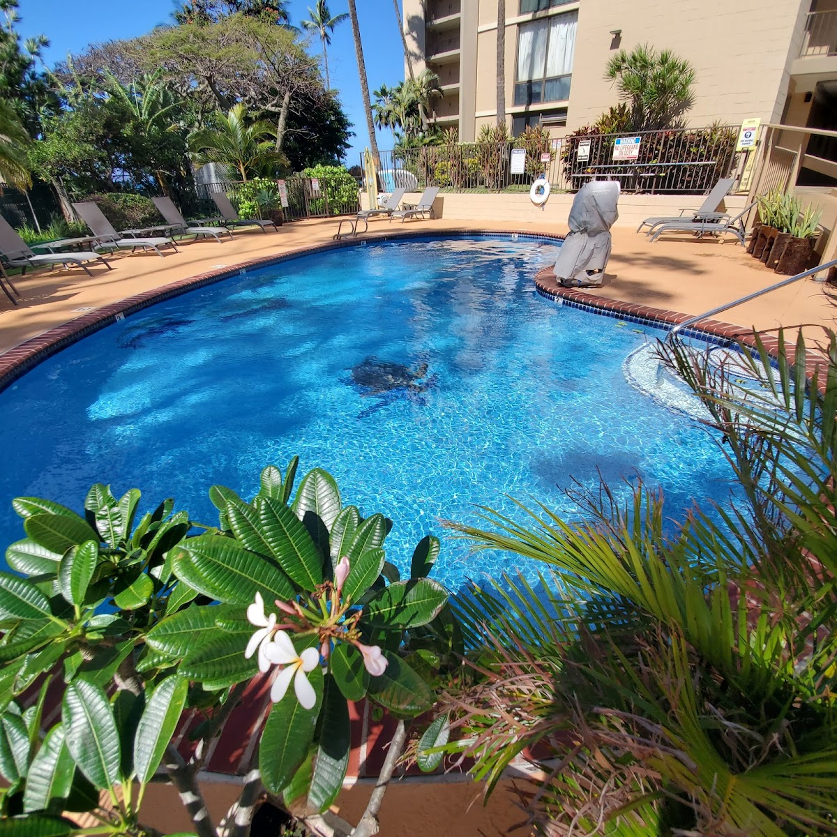 Valley Isle Resort