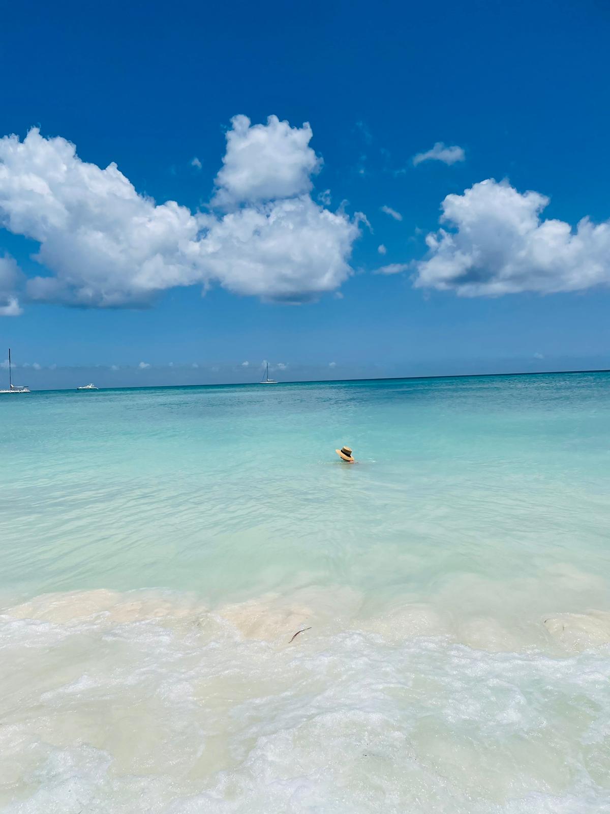 Dreams Palm Beach Punta Cana
