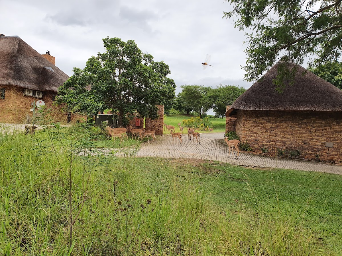 Kruger Park Lodge