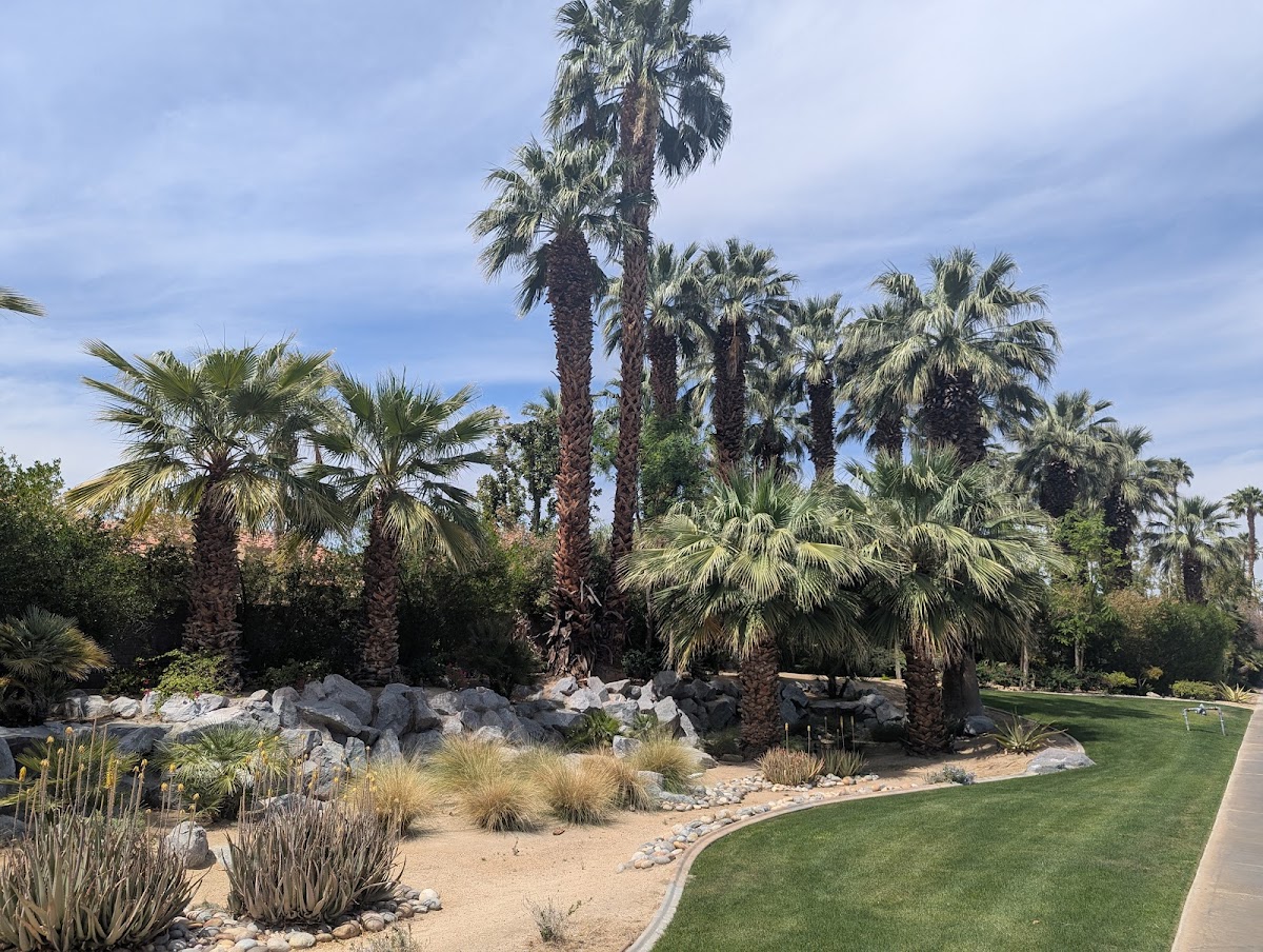Vacation Internationale The Oasis
