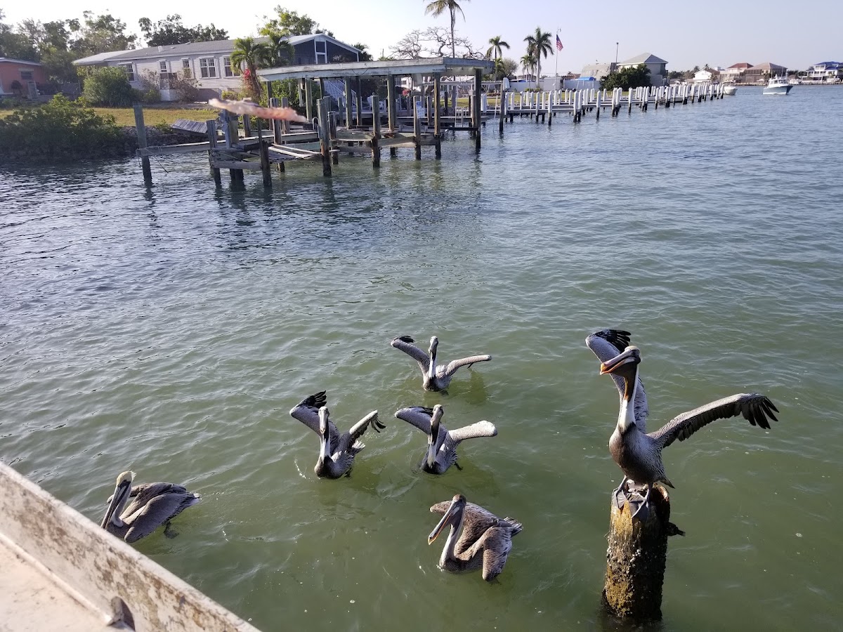 Westside Bay Resort