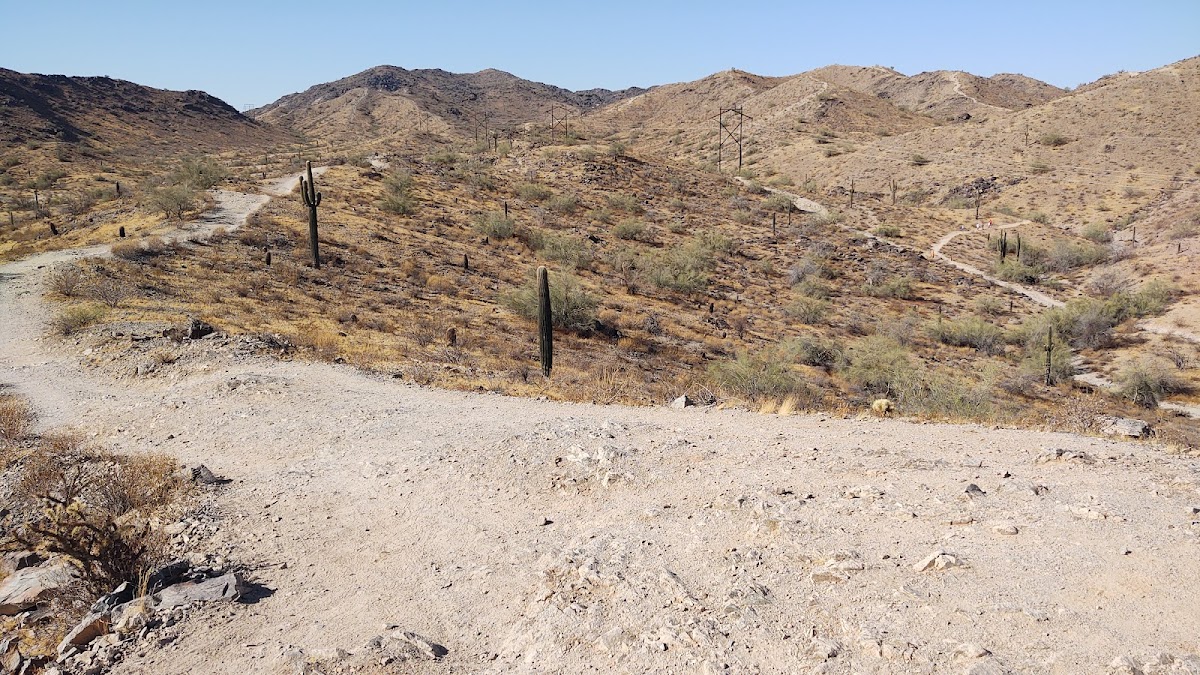 Desert Arroyo Phoenix