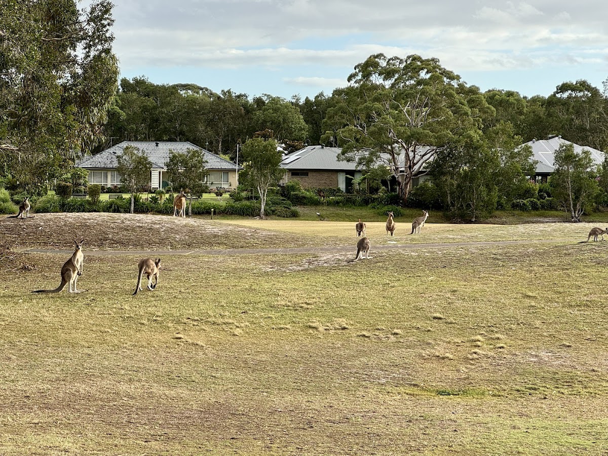 Club Wyndham Port Stephens