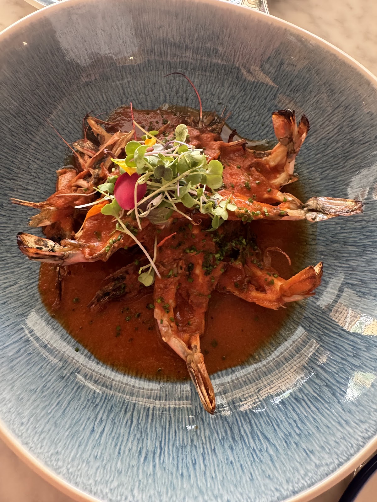 Club Melia at Melia Marbella Banus
