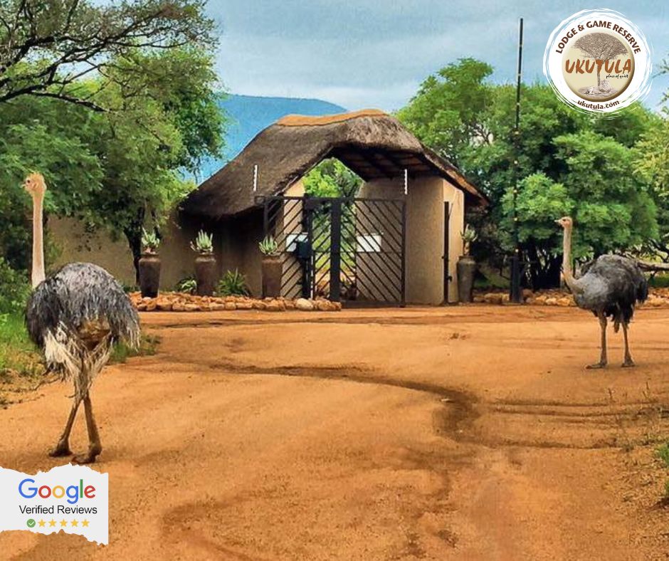 Ukuthula Lodge