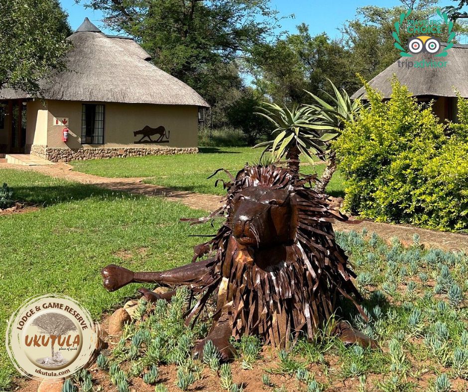 Ukuthula Lodge