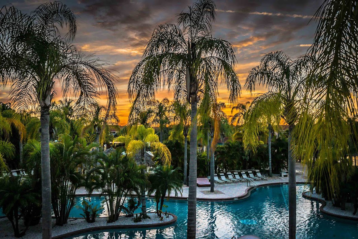 Caliente Tampa