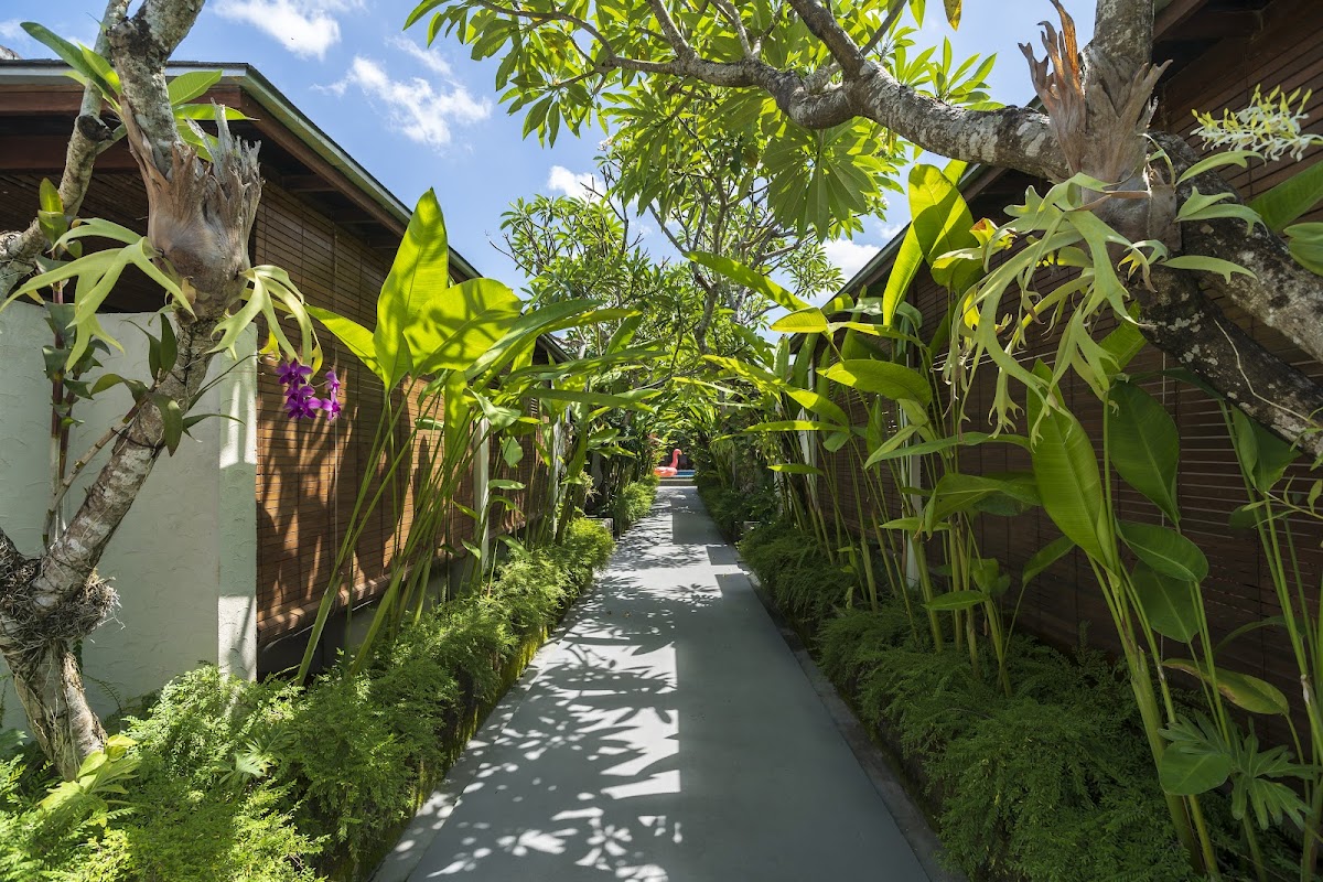 Rama Holidays@ Residence Petitenget