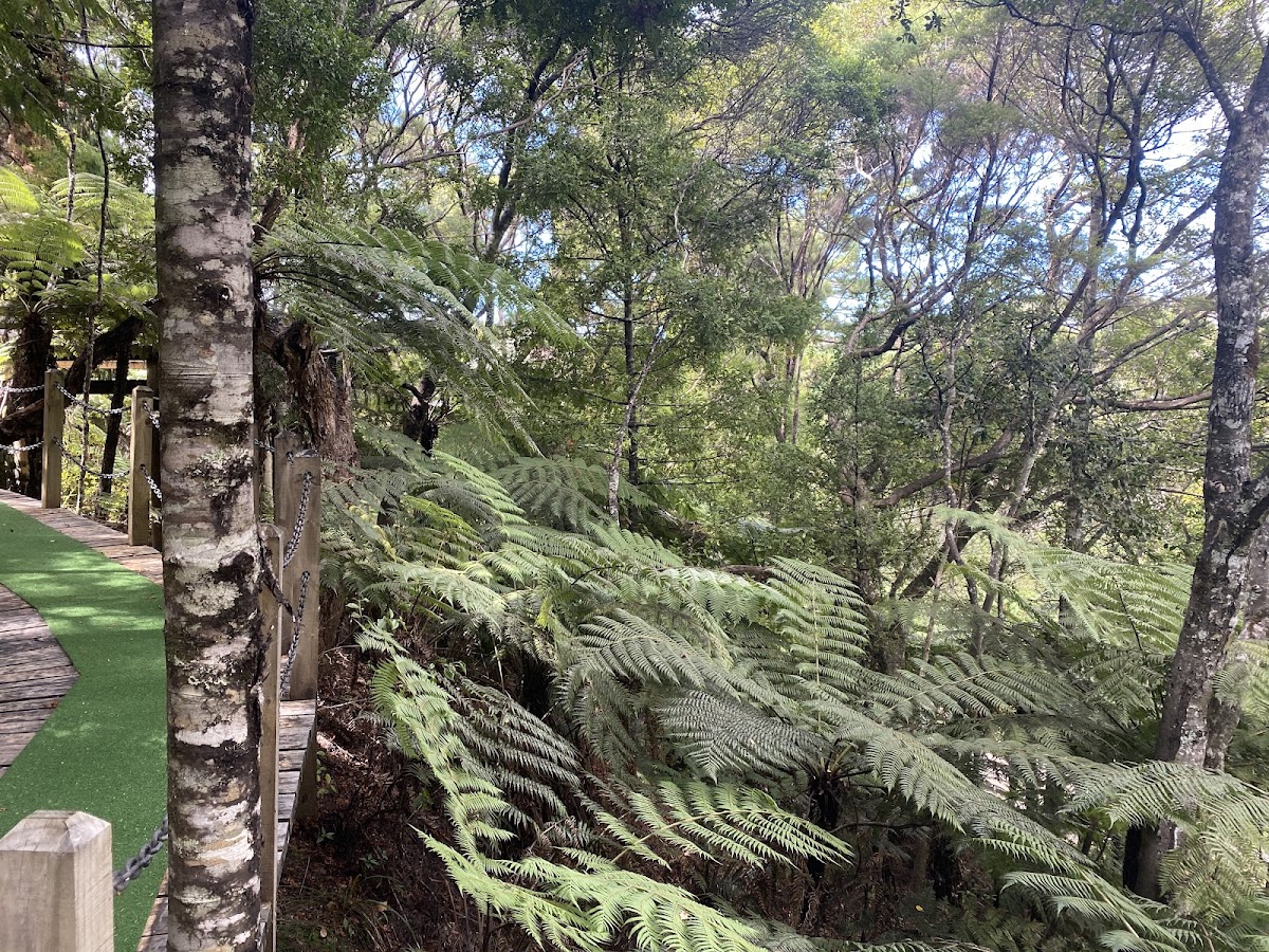 Club Paihia