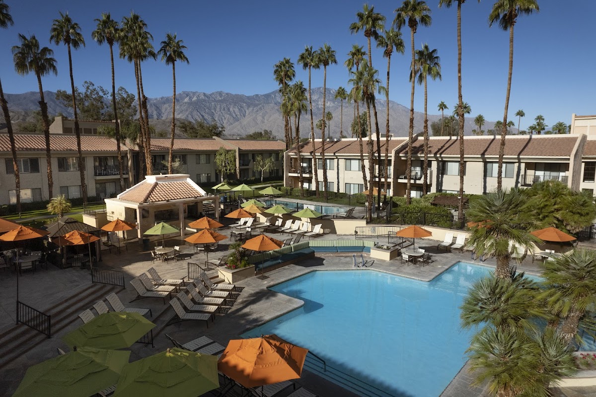 Desert Oasis