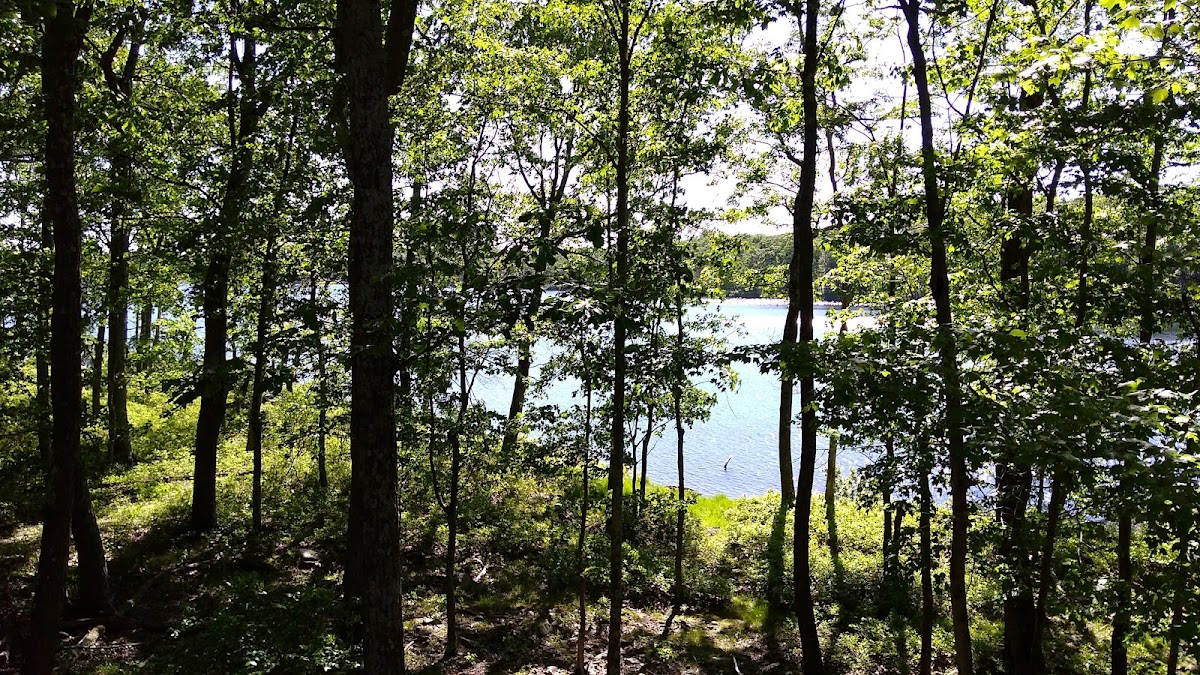Eagle Village Resort
